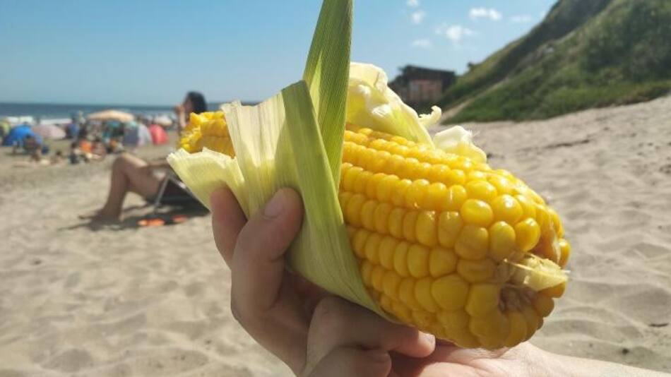 Choclo en la playa