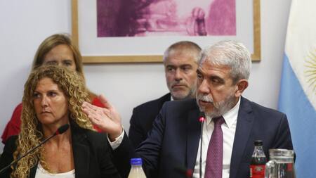 Aníbal Fernández expuso ante la Cámara de Diputados. Foto: NA.