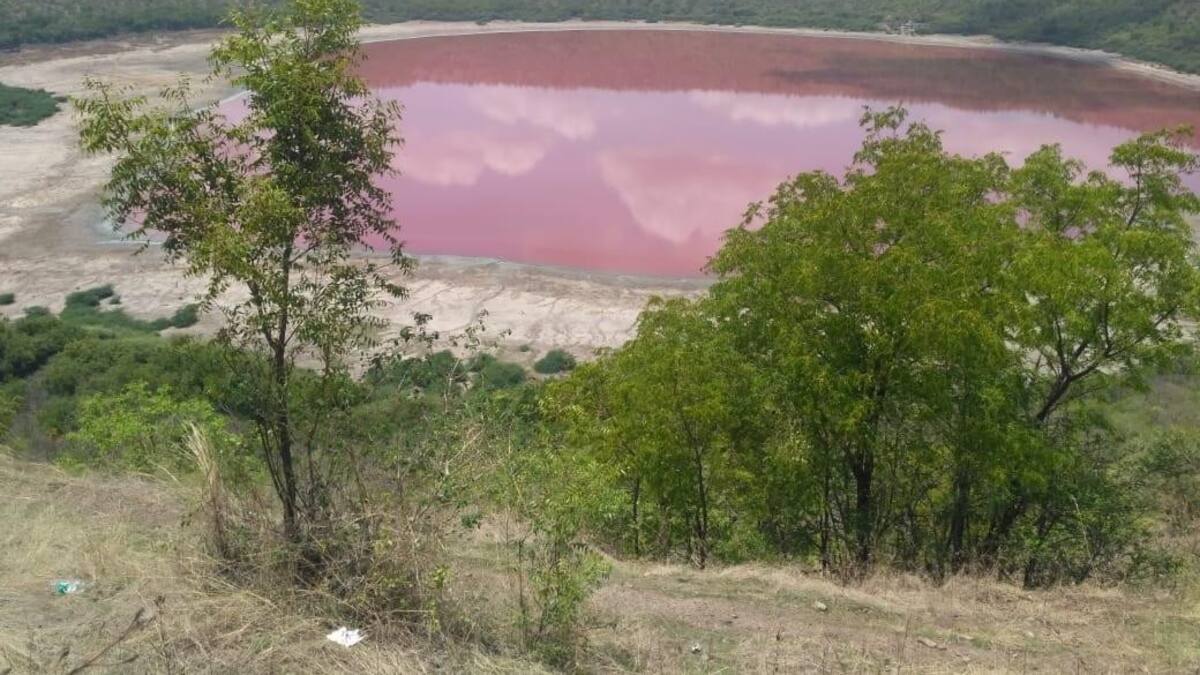 Lago Rosa en India