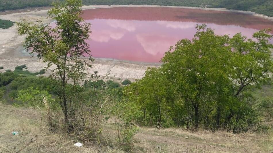 Lago Rosa en India