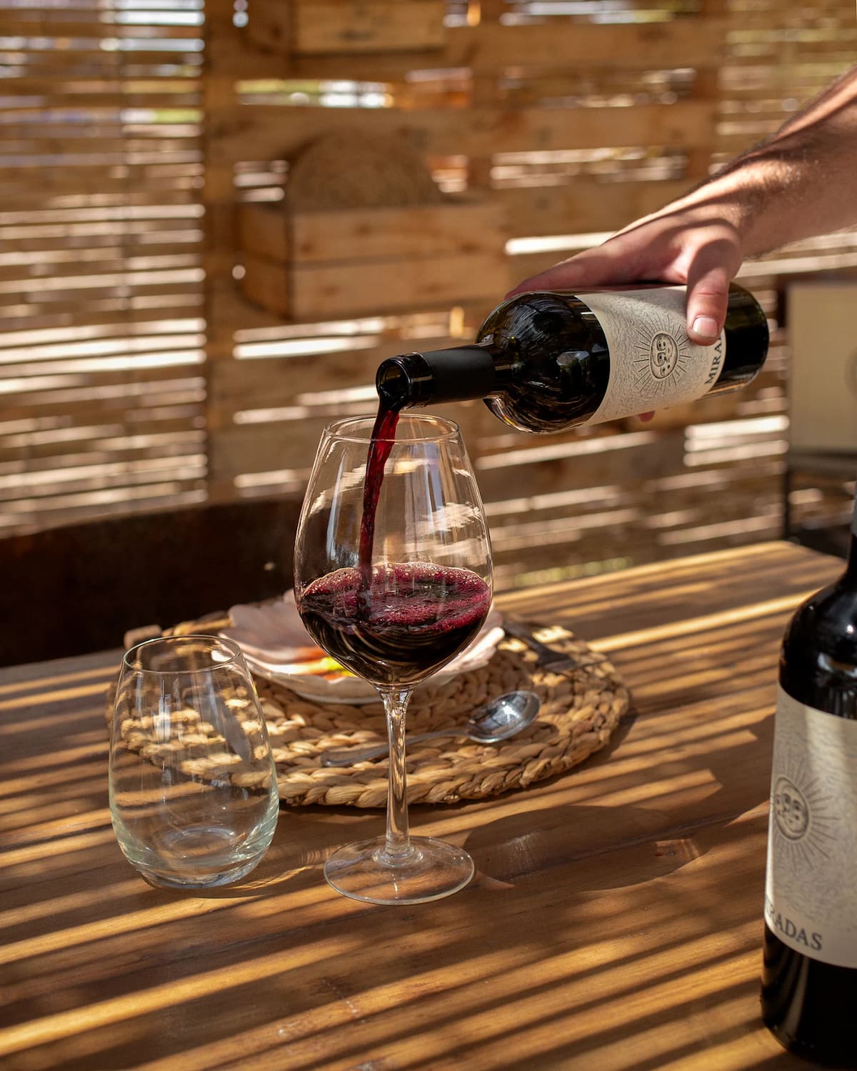Vinos de Luciano Pereyra