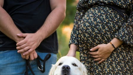 Las razas más y menos obedientes según una encuesta. Foto: Unsplash.