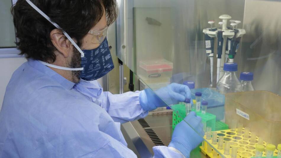 Nueva cepa de coronavirus en Brasil