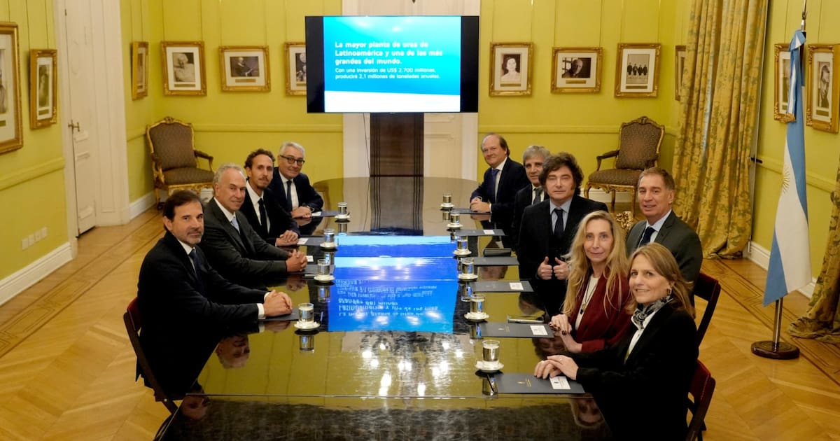 Visto bueno de Milei: Pampa Energía invertirá 2.700 millones de dólares ...