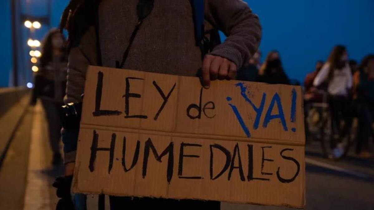 Ley de humedales