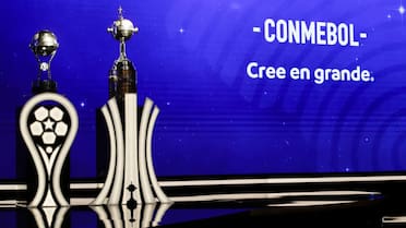 Por tabla anual y títulos: los equipos clasificados a la Copa Libertadores y Sudamericana