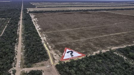 Desmonte en Salta. Foto: Gentileza Greenpeace.