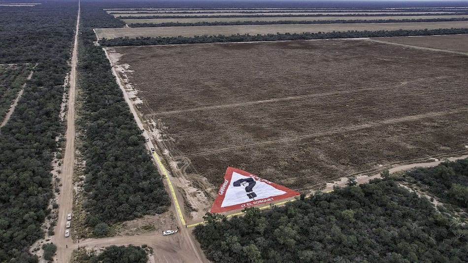 Desmonte en Salta. Foto: Gentileza Greenpeace.