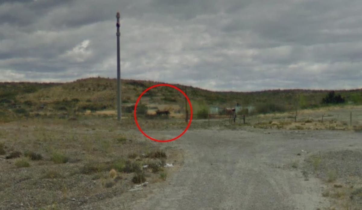 El banco de Adolf Hitler a orillas del mar en la Patagonia
