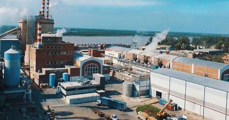 Celulosa Argentina, empresa