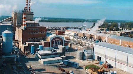 Celulosa Argentina pidió concurso preventivo tras perder más de 170 mil millones en un semestre