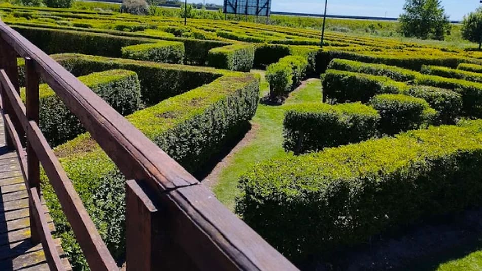El laberinto de Dolores tiene 6.400 metros cuadrados. Foto: NA