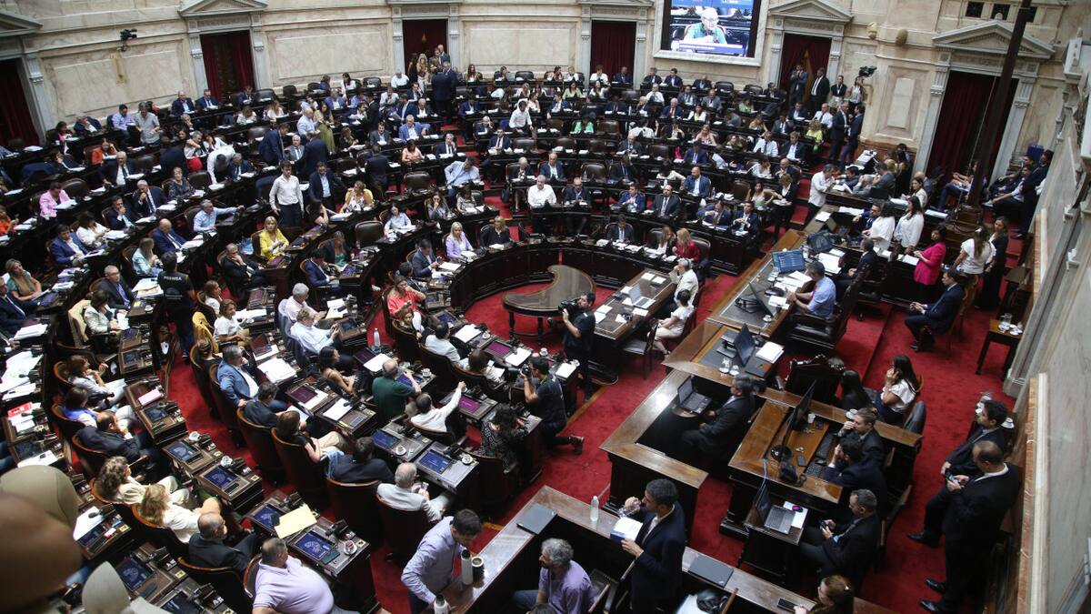 Debate Ley Ómnibus en Diputados. Foto: NA