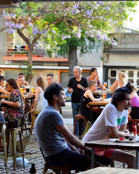 Gallo Negro. Foto Instagram @gallonegrook