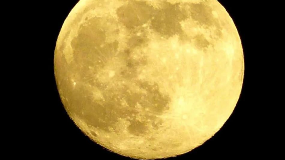 Luna amarilla