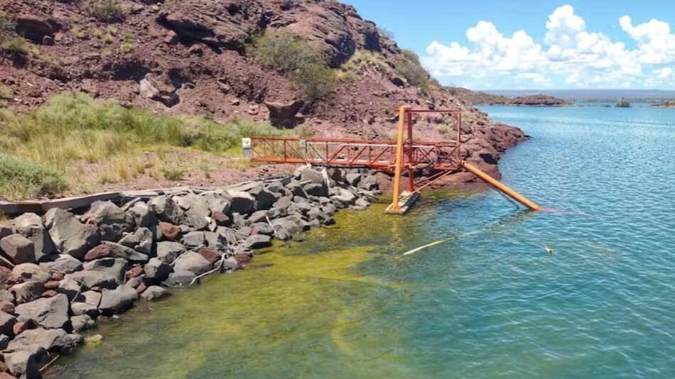 Algas en los lagos de Neuquén.