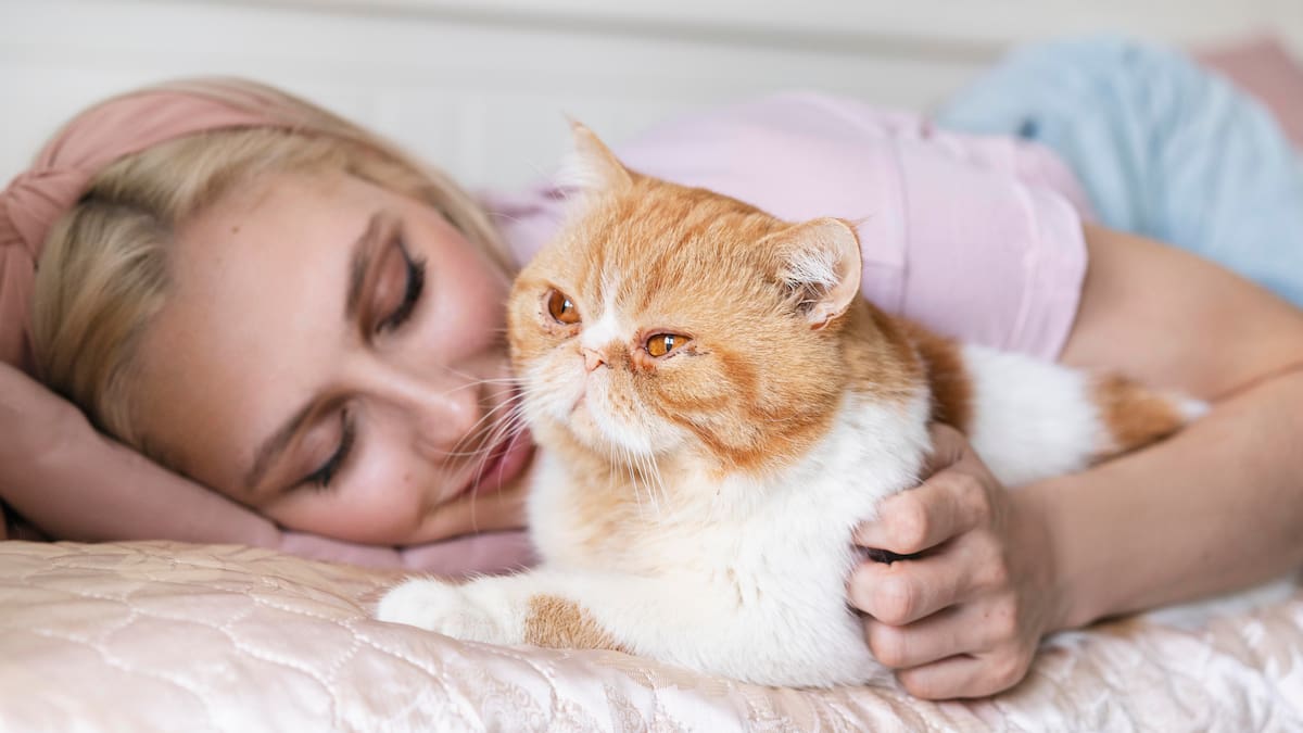 ¿Por qué tu gato no duerme con vos?