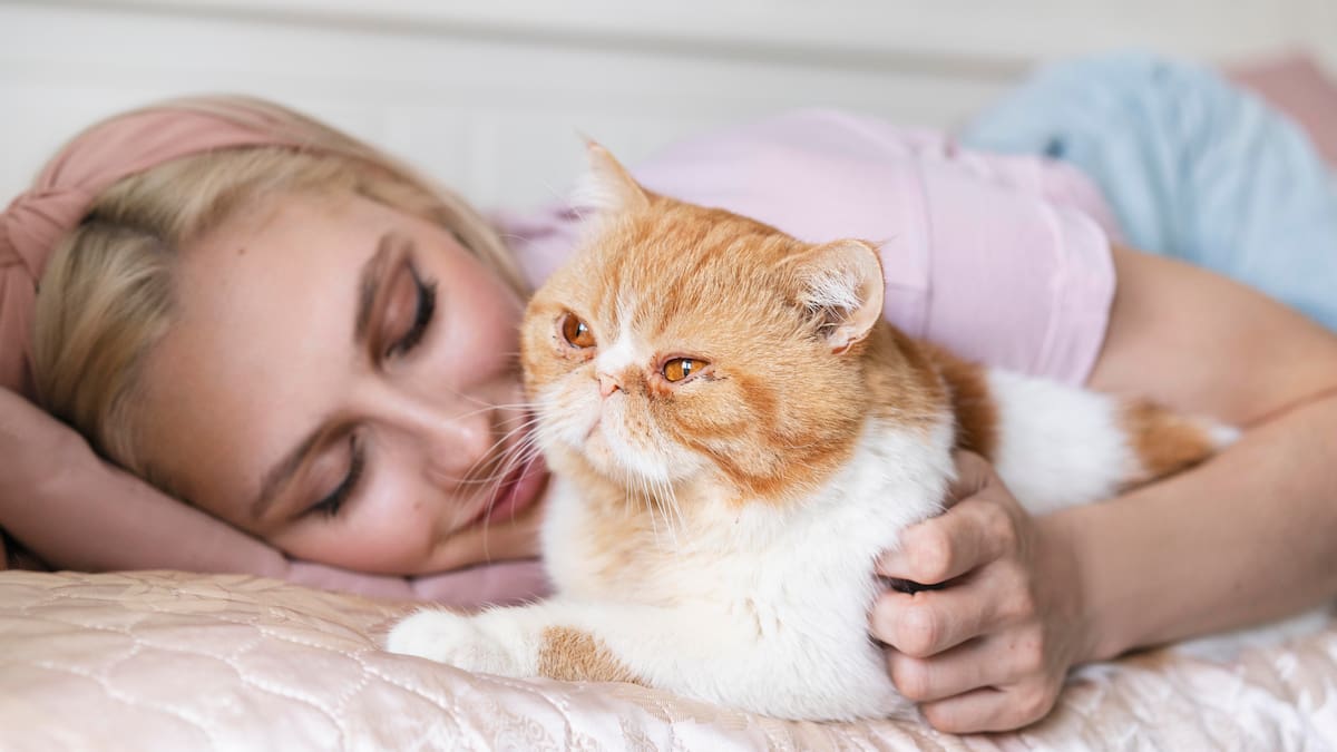 La verdadera fórmula: cómo se calcula la edad de un gato en años humanos, según veterinarios