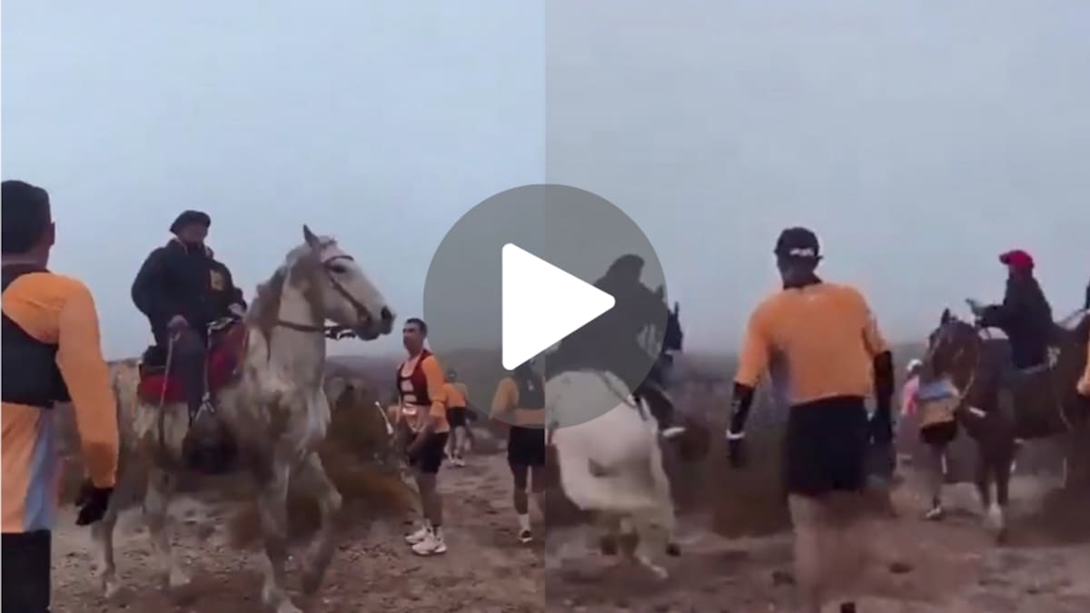 VIDEO| Con fustas y piedras, un grupo de jinetes agredió a corredores durante una competencia en Río Negro: “Jamás vi algo así”