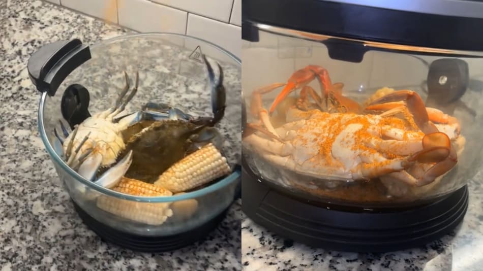 El video de los cangrejos que fue repudiado en redes. Foto: captura video TikTok.