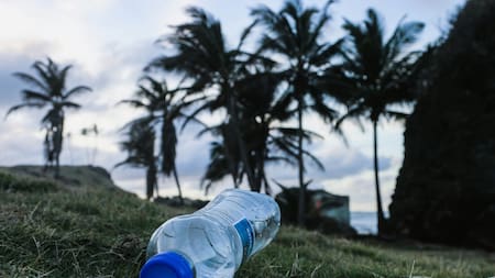 Plásticos de un solo uso. Foto: Unsplash