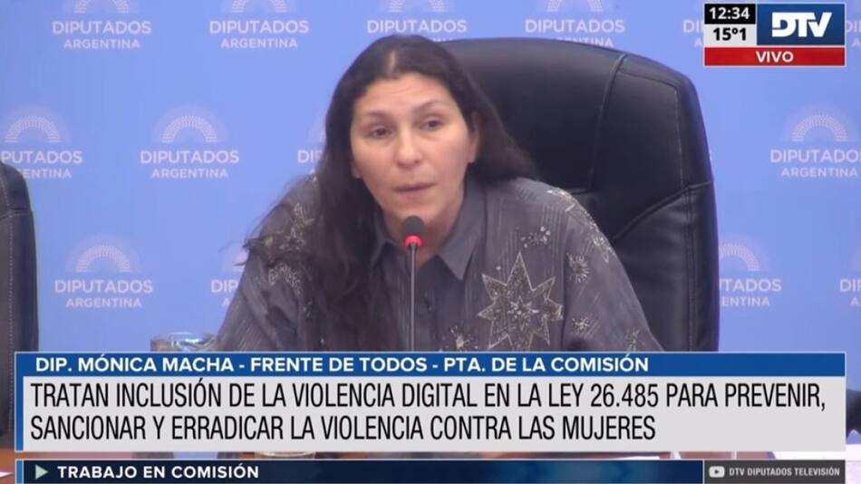Comisión de Diputados. Foto: captura de video DTV.