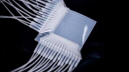 Panel táctil sin electricidad. Foto: X