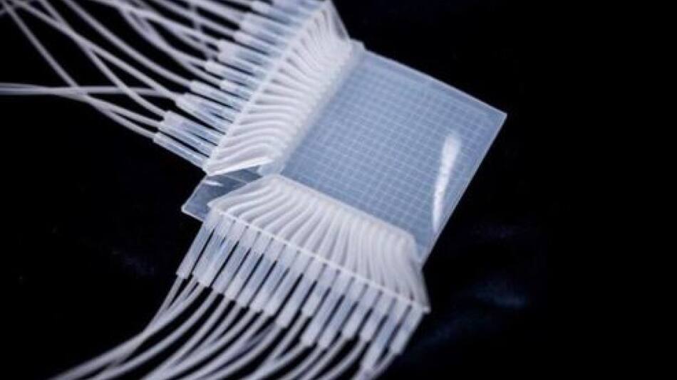 Panel táctil sin electricidad. Foto: X