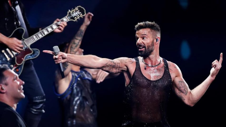 Viña del Mar, Ricky Martin