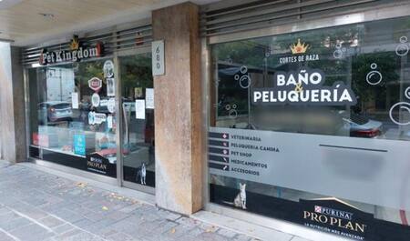 La peluquería donde ocurrió la agresión al perro. Foto: NA