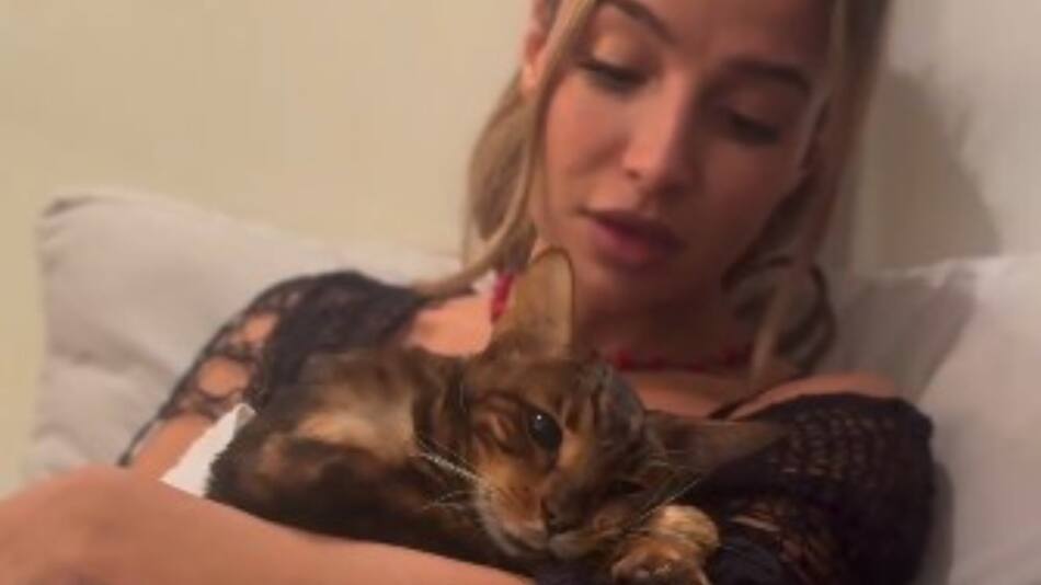 Brenda Asnicar despidió a su gato "Bandido". Foto: Instagram