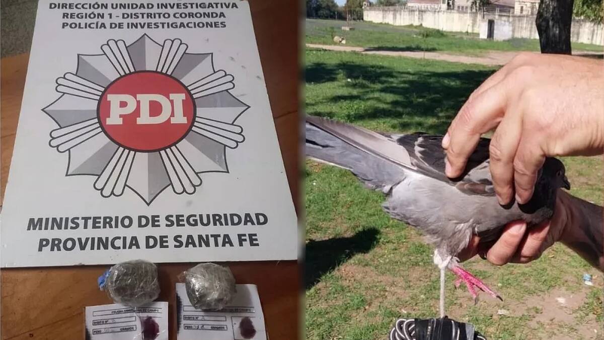 La droga incautada en el penal de Coronda. Foto: NA