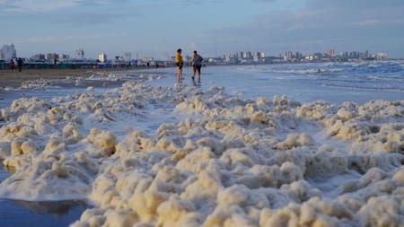 Mar del Plata sorprende con un extraño fenómeno que llena sus playas de espuma