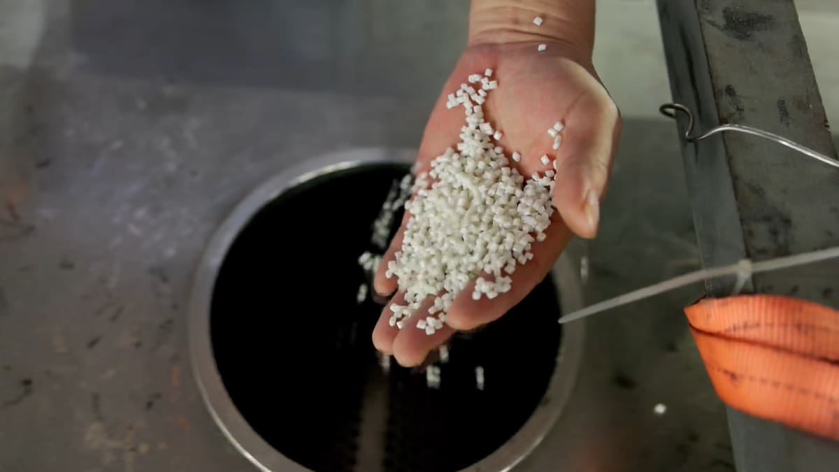 Jóvenes investigadores del proyecto Fun-ghi, de la Universidad Politécnica de Cartagena, que desarrollan un biomaterial a partir de setas y residuos de cerveza.