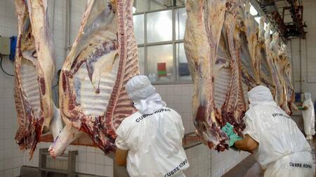 Exportación de carne, economía argentina, NA