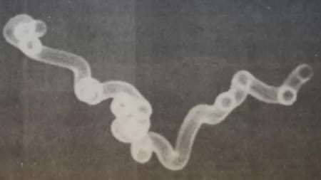 Ovnis en Brasil, Foto BBC News Brasil