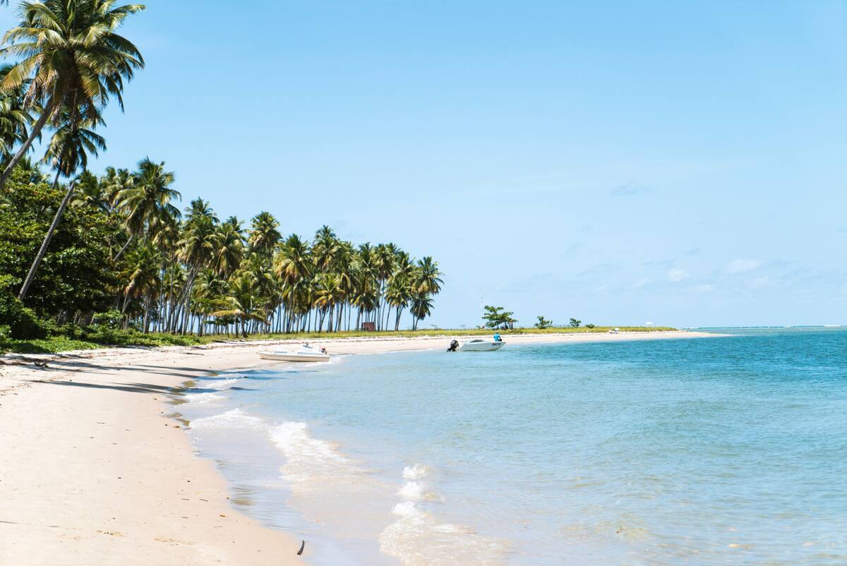 Playa de Brasil. Foto: Unsplash.
