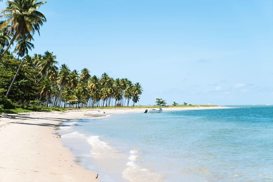 Playa de Brasil. Foto: Unsplash.