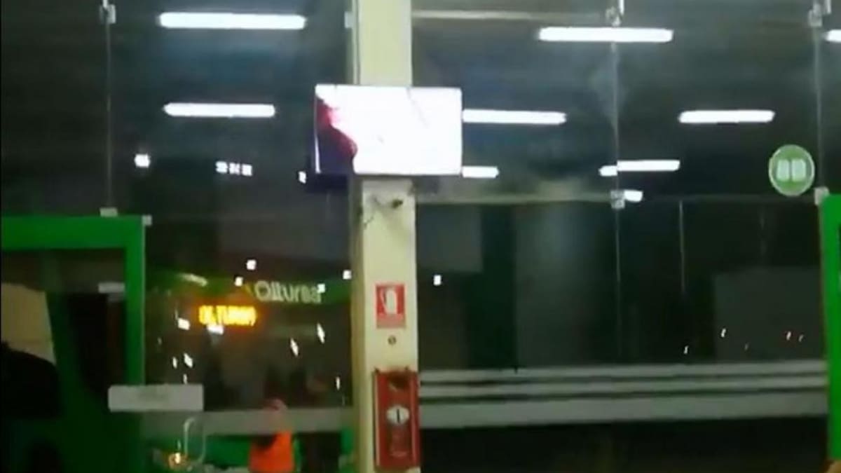 Terminal - película para adultos