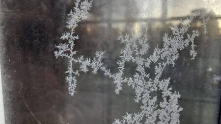 Copos de nieve. Foto: Twitter.