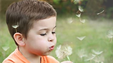 No es Lucas ni Federico: el nombre de niño más elegido en Argentina durante décadas