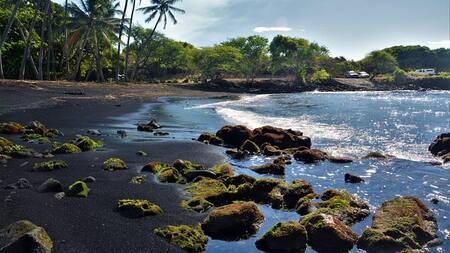 Un paisaje distinto, lleno de mitos y guardián de una especie en extinción: cómo es la playa de Punaluʻu en Hawái, de increíbles arenas negras