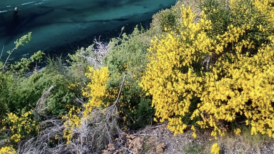 Uno de los destinos favoritos para vacacionar este verano es sin duda la Patagonia argentina. Foto Instagram @brendamacarena_.