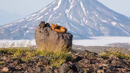 Kamchatka y su flora y fauna.