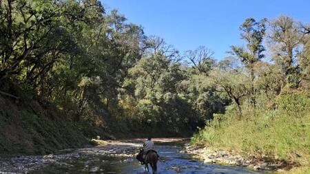 Este destino está ubicado a unos 100 kilómetros de la ciudad de Salta. Foto: Instagram / parquenacionalelrey.
