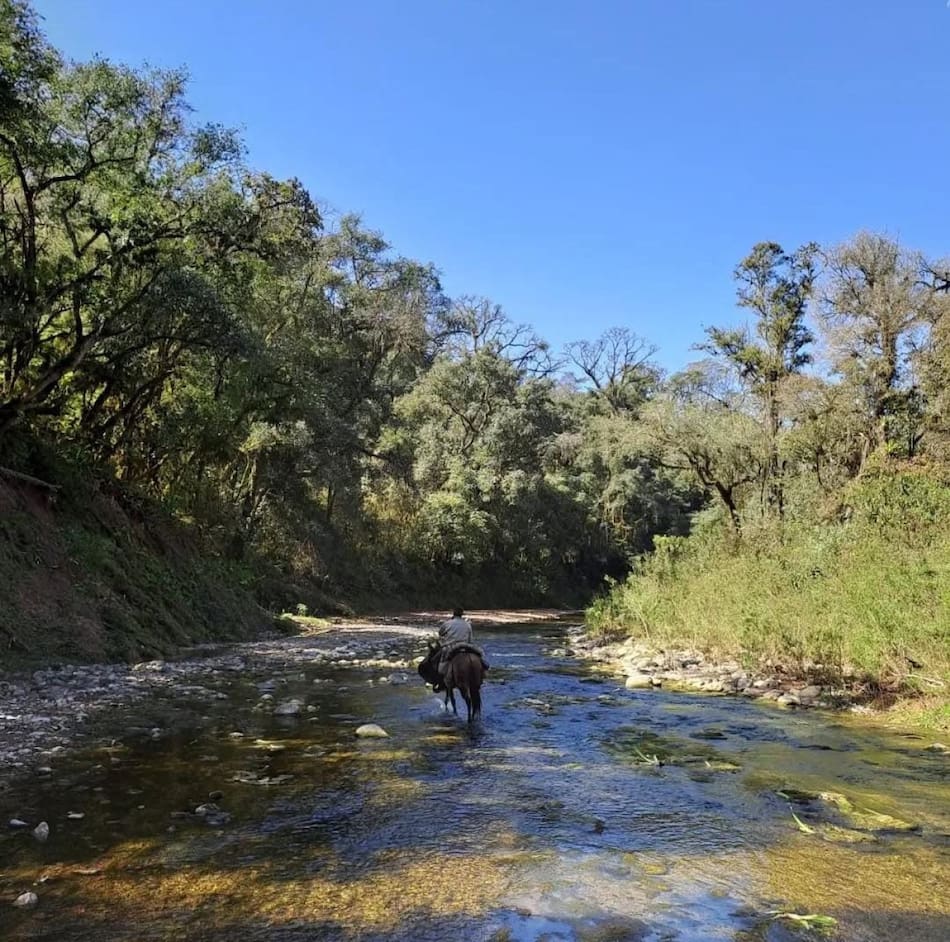 Parque Nacional El Rey, en Salta. Foto: Instagram / parquenacionalelrey.