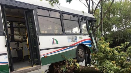 Choque de un colectivo contra un árbol en Villa Devoto