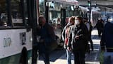 Transporte público libre y gratuito durante toda la jornada electoral