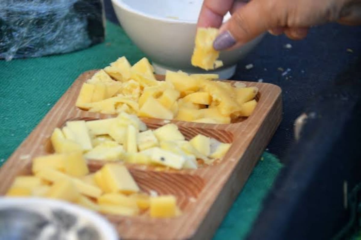 Miles de personas se reúnen en el Parque Independencia de Tandil para disfrutar de la Fiesta del Queso Tandilero, uno de los eventos gastronómicos más importantes de la provincia de Buenos Aires.