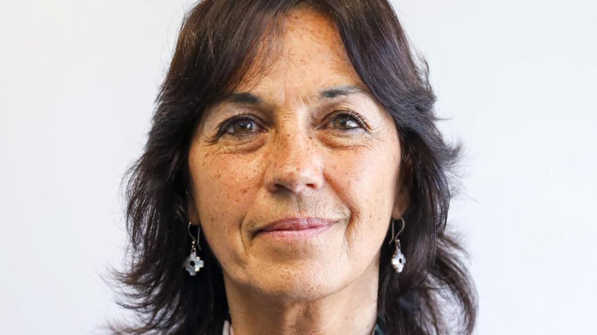 Vilma Ibarra, Gobierno, NA